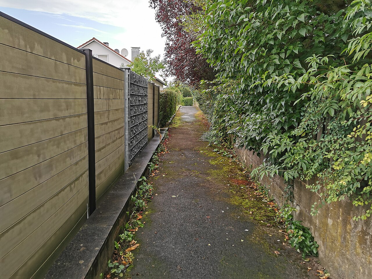 Beispielfoto eines geschlossenen Sichtschutzzauns mit Gabionenelementen entlang eines Gartenwegs